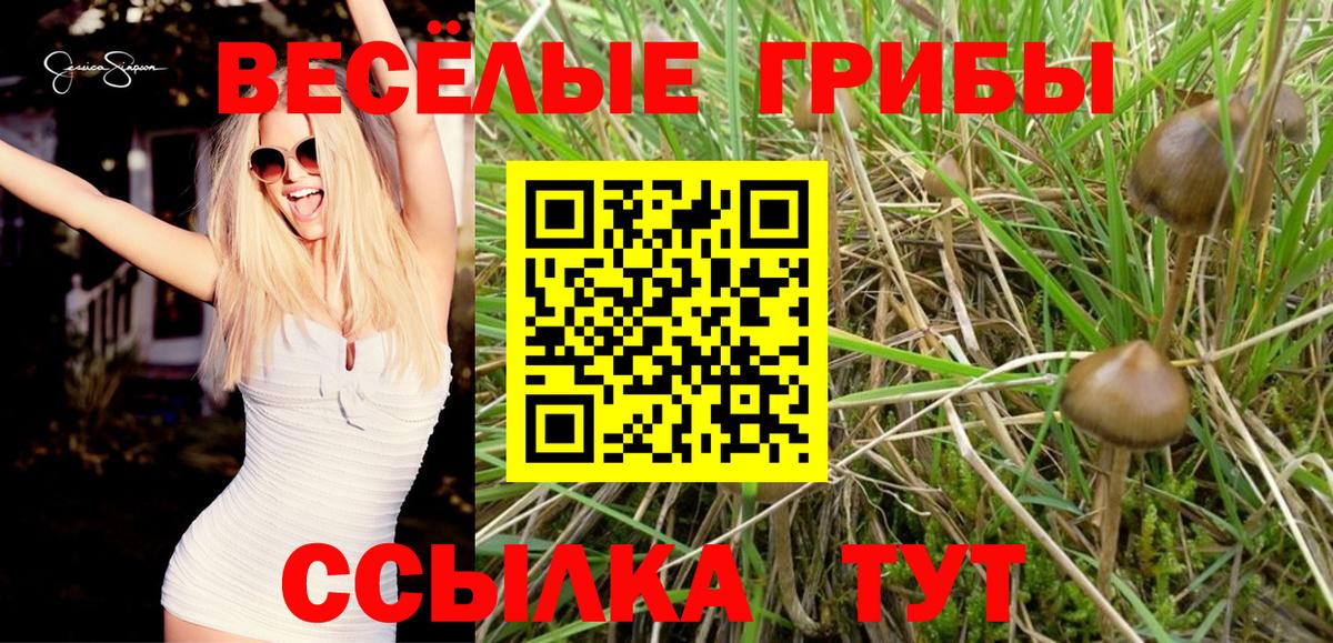 Югорск  Псилоцибиновые грибы Psilocybine cubensis  Вход с VPN  Галлюциногенные грибы GOLDEN TEACHER 