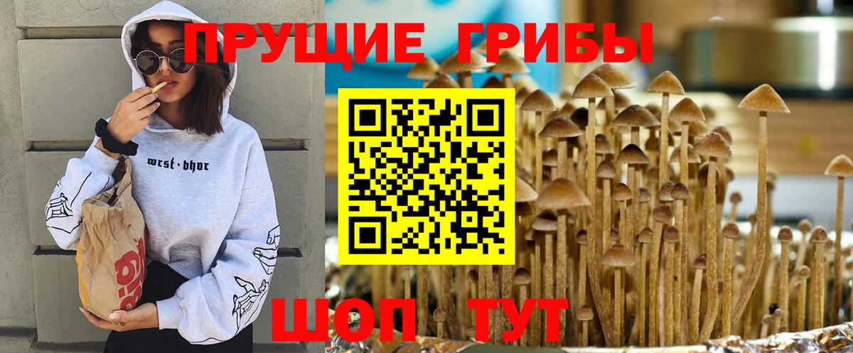 Псилоцибиновые грибы мицелий Югорск